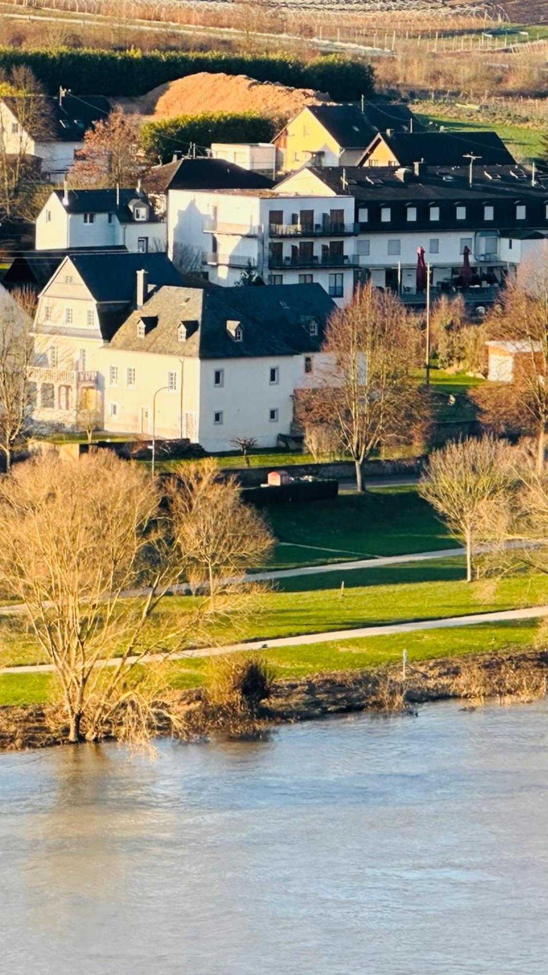 Gut Foersterlay - Exklusive Boutique Apartments Im Historischen Winzerhaus Direkt An Der Mosel Lösnich Exterior foto