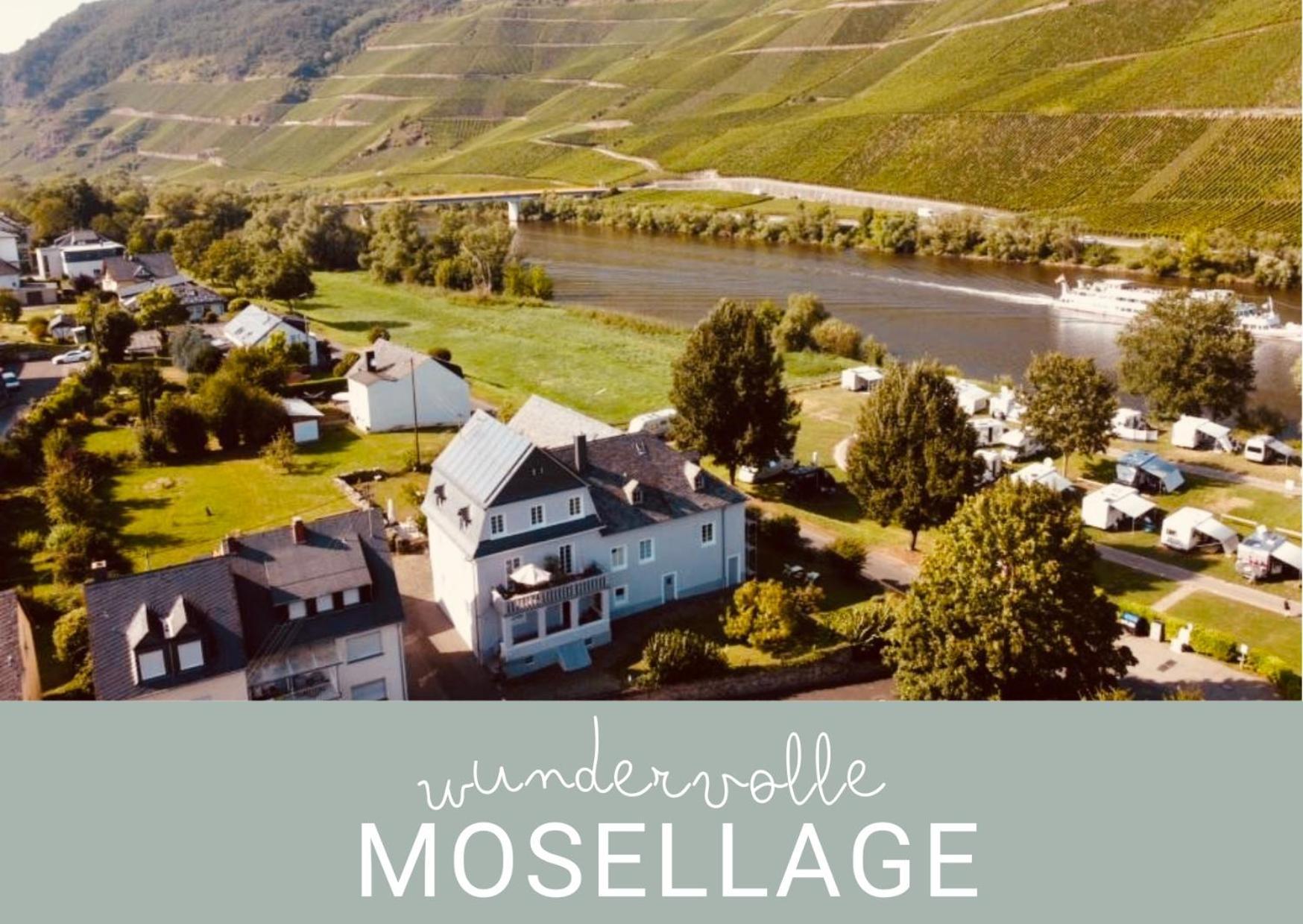 Gut Foersterlay - Exklusive Boutique Apartments Im Historischen Winzerhaus Direkt An Der Mosel Lösnich Exterior foto
